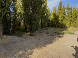  Terreno (Parcela) en venta en Neuquen, Confluencia, Neuquen