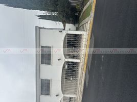 1 Habitación Apartamento en alquiler en San Pedro Garza Garcia, Nuevo León, San Pedro Garza Garcia, Nuevo León, México