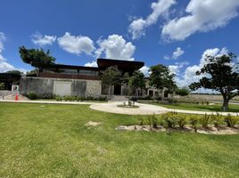 在Merida, Yucatan出售的 土地, Merida