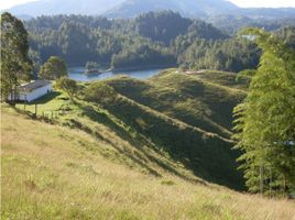  Terrain for sale in Penol, Antioquia, Penol