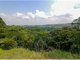  Land for sale in Jamundi, Valle Del Cauca, Jamundi