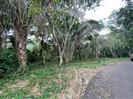  Land for sale in Anapoima, Cundinamarca, Anapoima