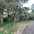  Land for sale in Anapoima, Cundinamarca, Anapoima