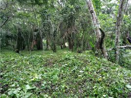  Terrain for sale in Anapoima, Cundinamarca, Anapoima