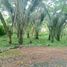  Land for sale in Anapoima, Cundinamarca, Anapoima