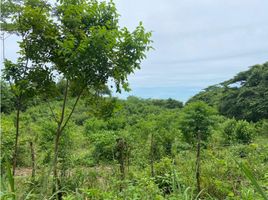  Land for sale in Turbaco, Bolivar, Turbaco