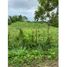  Land for sale in Turbaco, Bolivar, Turbaco