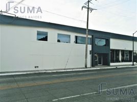 8 m2 Office for rent in Tampico, Tamaulipas, Tampico
