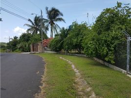  Terreno (Parcela) en venta en Panamá Oeste, San Carlos, San Carlos, Panamá Oeste