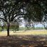  Land for sale in Allende, Nuevo Leon, Allende