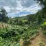 Studio Villa for sale in Pijao, Quindio, Pijao, Quindio