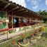 Studio House for sale in Circasia, Quindio, Circasia