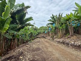 Estudio Casa en venta en Quindio, Quimbaya, Quindio