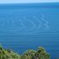  Land for sale in Chile, Valdivia, Valdivia, Los Rios, Chile