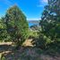 Land for sale in Chile, Valdivia, Valdivia, Los Rios, Chile
