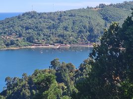  Land for sale in Chile, Valdivia, Valdivia, Los Rios, Chile