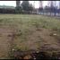  Land for sale in Chile, Las Cabras, Cachapoal, Libertador General Bernardo Ohiggins, Chile