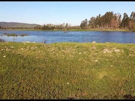  Land for sale in Chile, Las Cabras, Cachapoal, Libertador General Bernardo Ohiggins, Chile