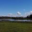  Land for sale in Chile, Las Cabras, Cachapoal, Libertador General Bernardo Ohiggins, Chile