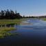  Land for sale in Chile, Las Cabras, Cachapoal, Libertador General Bernardo Ohiggins, Chile