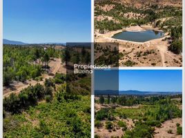  Terreno (Parcela) en venta en Chile, Cauquenes, Cauquenes, Maule, Chile