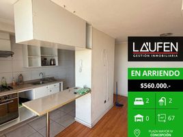 2 Habitación Apartamento en alquiler en Concepción, Biobío, Concepcion, Concepción