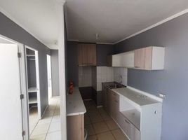 3 Bedroom Apartment for rent in Chile, Santiago, Santiago, Santiago, Chile