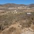  Land for sale in Elqui Coquimbo, Coquimbo, Elqui, Coquimbo, Chile