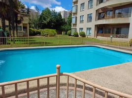 4 Schlafzimmer Appartement zu vermieten in Feria Pinto, Cautin, Nueva Imperial, Cautin