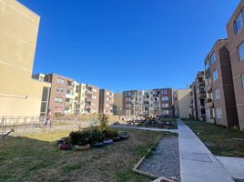 3 Bedroom Apartment for sale in Falabella Mall Plaza El Trébol, Talcahuano, Talcahuano
