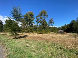  Land for sale in Chile, Villarrica, Cautin, Araucania, Chile