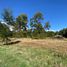  Land for sale in Chile, Villarrica, Cautin, Araucania, Chile