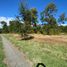  Land for sale in Chile, Villarrica, Cautin, Araucania, Chile