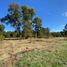  Land for sale in Chile, Villarrica, Cautin, Araucania, Chile
