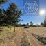  Land for sale in Chile, Temuco, Cautin, Araucania, Chile