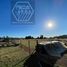  Land for sale in Chile, Temuco, Cautin, Araucania, Chile