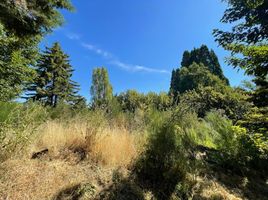  Land for sale in Rio Negro, Bariloche, Rio Negro