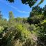  Land for sale in Rio Negro, Bariloche, Rio Negro