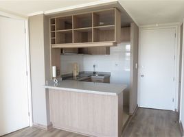 在智利出租的 公寓, Santiago, Santiago, Santiago, 智利