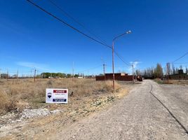  Land for sale in General Roca, Rio Negro, General Roca