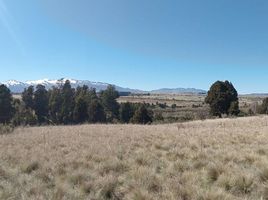  Terreno (Parcela) en venta en Futaleufu, Chubut, Futaleufu