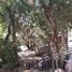  Land for sale in Chile, Paine, Maipo, Santiago, Chile