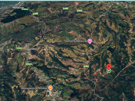  Terreno (Parcela) en venta en Cardenal Caro, Libertador General Bernardo O'Higgins, Navidad, Cardenal Caro