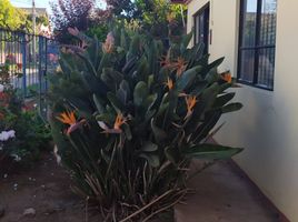 4 Habitación Casa en venta en Parque Isidora Cousiño De Lota, Viña del Mar, Viña del Mar