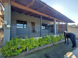 4 Schlafzimmer Haus zu vermieten in Valle De Bravo, Mexico, Valle De Bravo