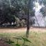  Land for sale in Miguel Hidalgo, Mexico City, Miguel Hidalgo