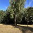  Terreno (Parcela) en venta en Cautín, Araucanía, Golbea, Cautín