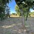  Terreno (Parcela) en venta en Cautín, Araucanía, Golbea, Cautín