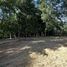  Terreno (Parcela) en venta en Cautín, Araucanía, Golbea, Cautín