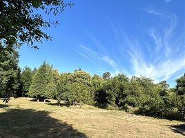  Terreno (Parcela) en venta en Cautín, Araucanía, Golbea, Cautín